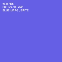 #645FE5 - Blue Marguerite Color Image