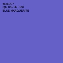 #6460C7 - Blue Marguerite Color Image