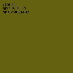 #646111 - Spicy Mustard Color Image