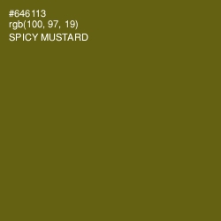 #646113 - Spicy Mustard Color Image