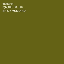 #646214 - Spicy Mustard Color Image