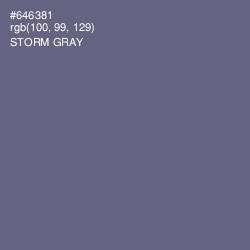 #646381 - Storm Gray Color Image