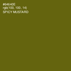 #64640E - Spicy Mustard Color Image