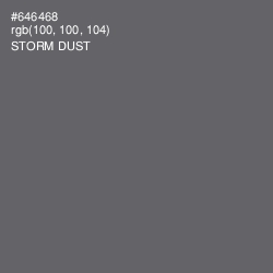 #646468 - Storm Dust Color Image