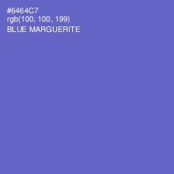 #6464C7 - Blue Marguerite Color Image