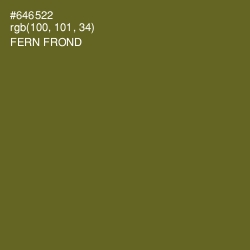 #646522 - Fern Frond Color Image