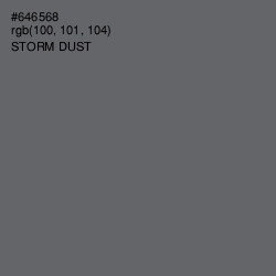 #646568 - Storm Dust Color Image