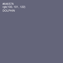 #64657A - Dolphin Color Image