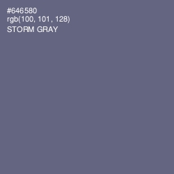 #646580 - Storm Gray Color Image