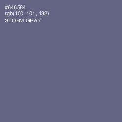 #646584 - Storm Gray Color Image