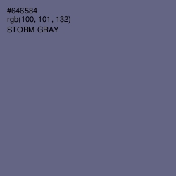 #646584 - Storm Gray Color Image