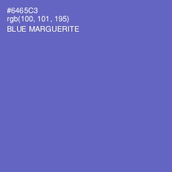 #6465C3 - Blue Marguerite Color Image