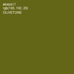 #646617 - Olivetone Color Image