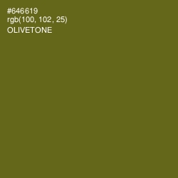 #646619 - Olivetone Color Image