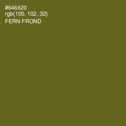 #646620 - Fern Frond Color Image