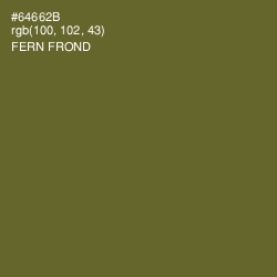 #64662B - Fern Frond Color Image