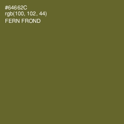 #64662C - Fern Frond Color Image