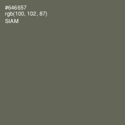 #646657 - Siam Color Image
