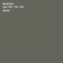 #64665C - Siam Color Image