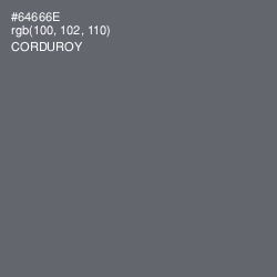 #64666E - Corduroy Color Image