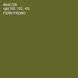 #64672B - Fern Frond Color Image