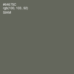 #64675C - Siam Color Image