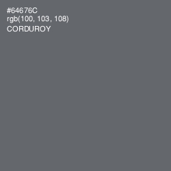 #64676C - Corduroy Color Image