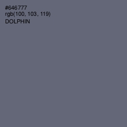 #646777 - Dolphin Color Image