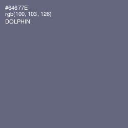 #64677E - Dolphin Color Image