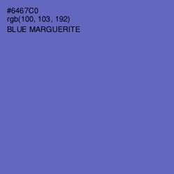 #6467C0 - Blue Marguerite Color Image