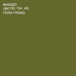 #64682D - Fern Frond Color Image
