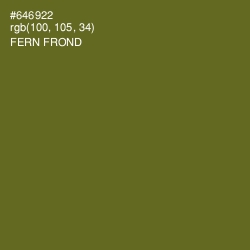 #646922 - Fern Frond Color Image