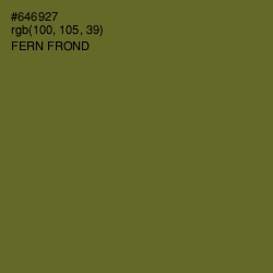 #646927 - Fern Frond Color Image