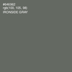 #646962 - Ironside Gray Color Image