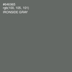 #646965 - Ironside Gray Color Image