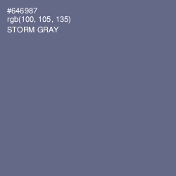 #646987 - Storm Gray Color Image