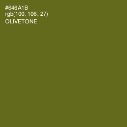 #646A1B - Olivetone Color Image