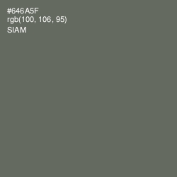 #646A5F - Siam Color Image