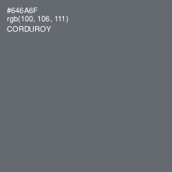 #646A6F - Corduroy Color Image