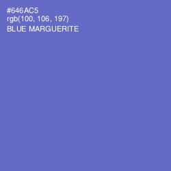 #646AC5 - Blue Marguerite Color Image
