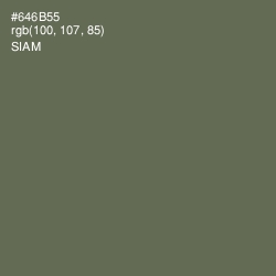 #646B55 - Siam Color Image