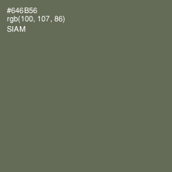 #646B56 - Siam Color Image