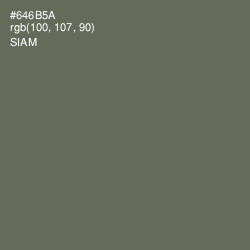 #646B5A - Siam Color Image