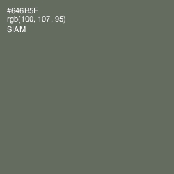 #646B5F - Siam Color Image
