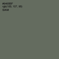 #646B5F - Siam Color Image