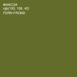 #646C2A - Fern Frond Color Image