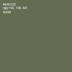 #646C52 - Siam Color Image