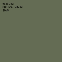 #646C53 - Siam Color Image