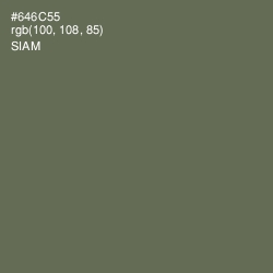 #646C55 - Siam Color Image