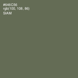 #646C56 - Siam Color Image